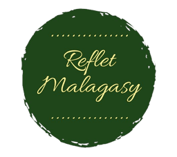 Housse de coussin brodée à la main